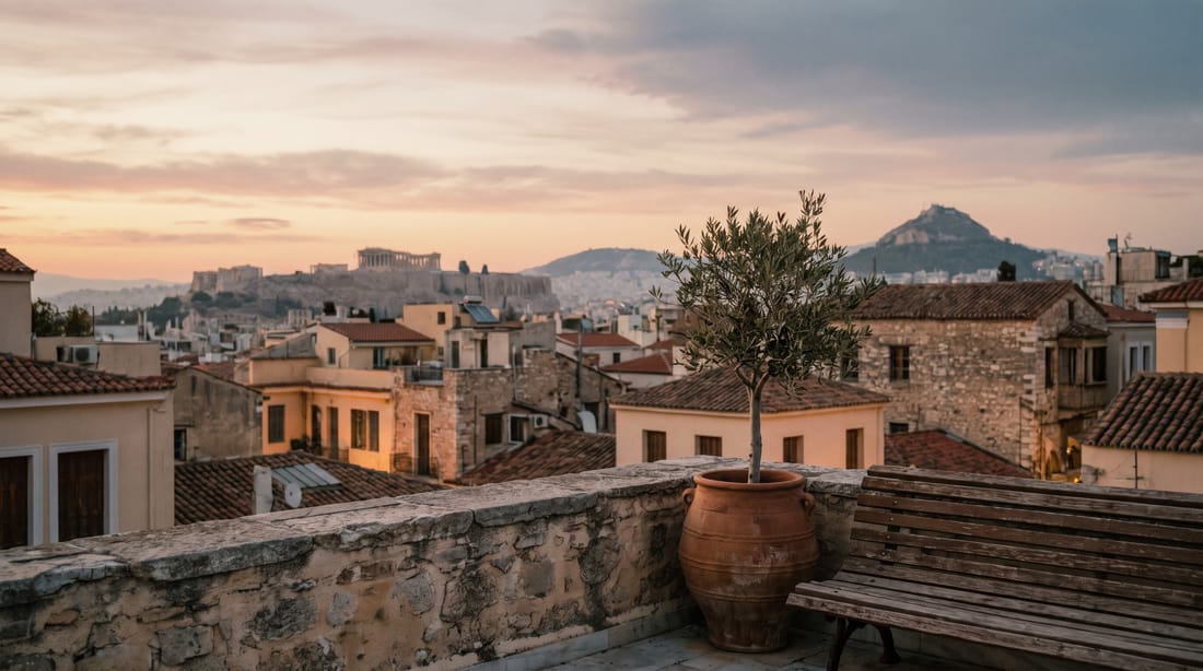 Ταράτσα στην Αθήνα με ελιά σε γλάστρα, στο πρώτο φως της ημέρας