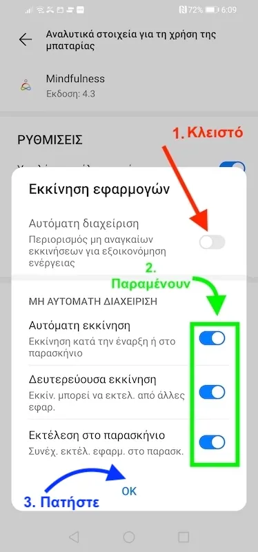 Βήμα 8: Κλείστε την «Αυτόματη διαχείριση», αφήστε ανοιχτούς τους τρεις διακόπτες και πατήστε «ΟΚ».